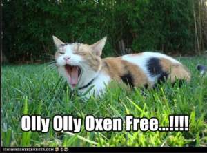 Screen Shot 2014-09-05 at 2.58.12 PM