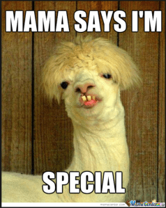 Screen Shot 2014-10-26 at 11.09.27 PM