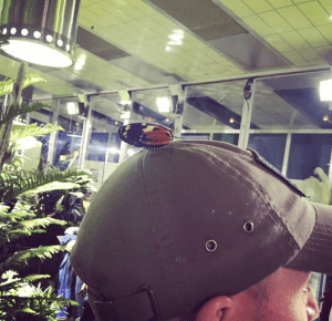 Screen Shot 2014-11-13 at 4.49.24 PM